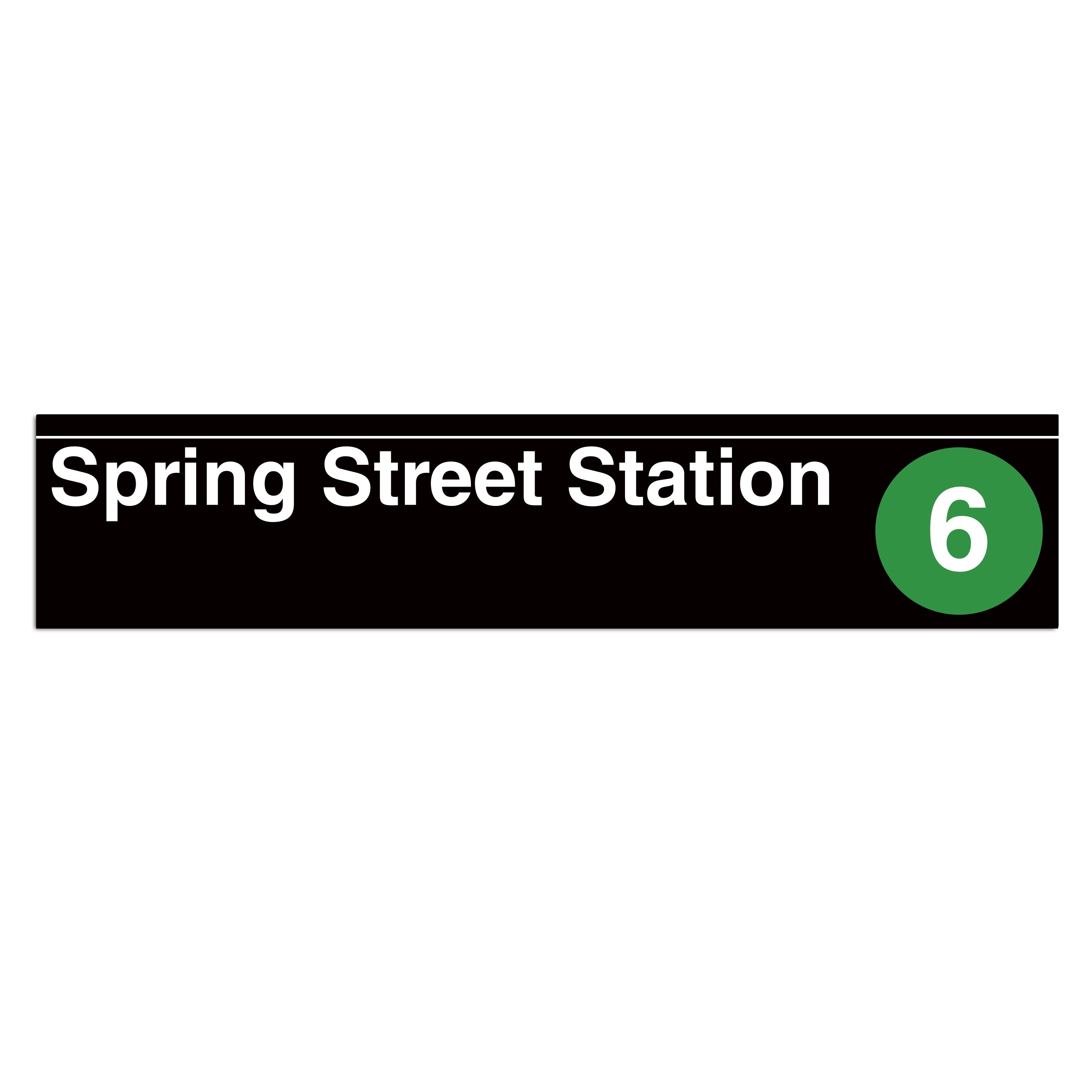 Spring Street (6) Sign