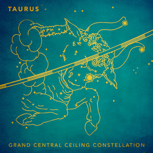 Grand Central Ceiling (Taurus) Magnet